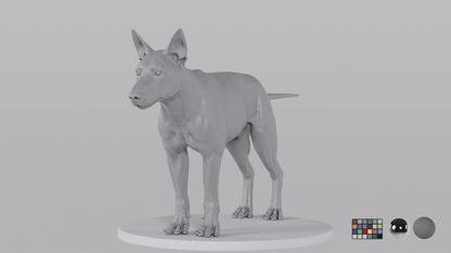 German Sheperd