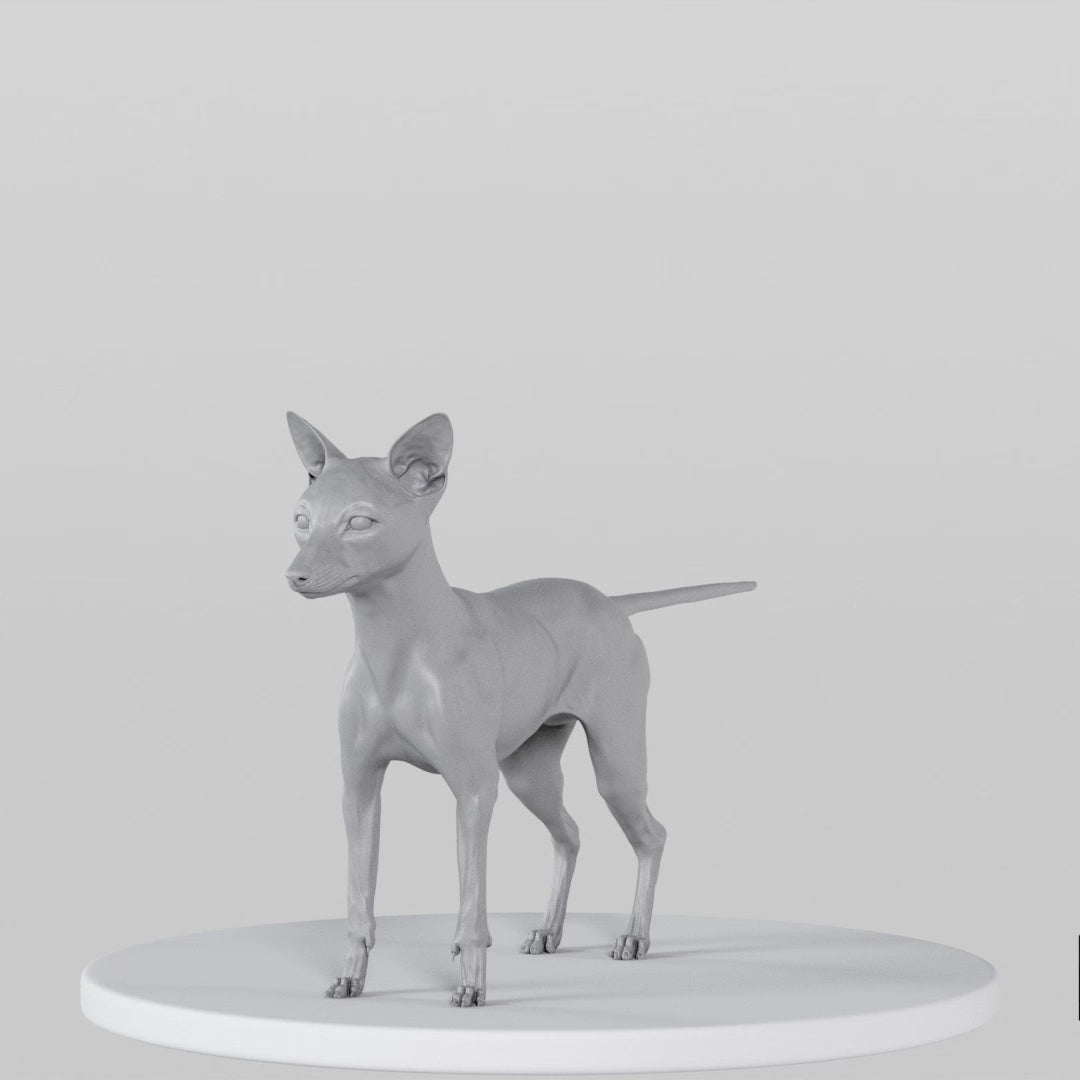 Load video: Fox