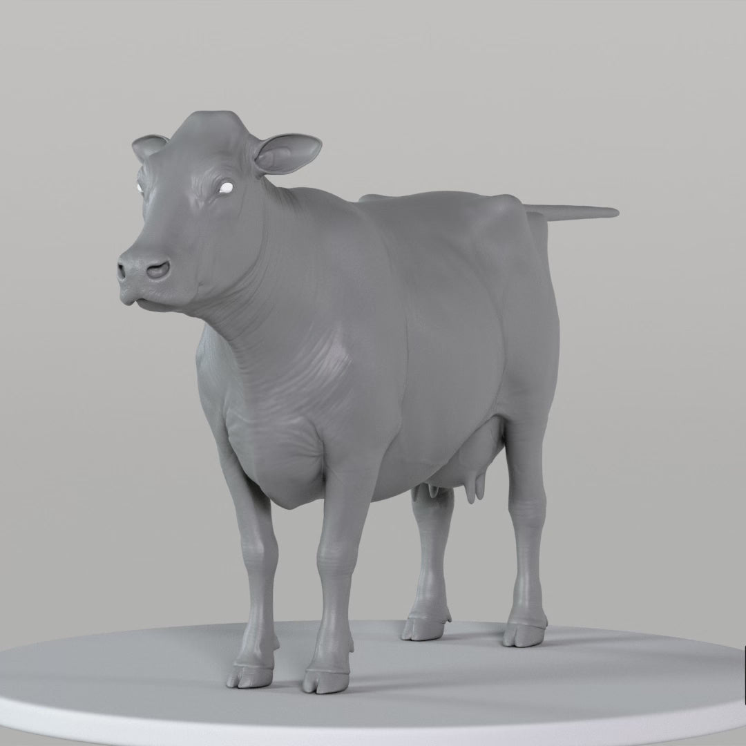 Load video: Cow