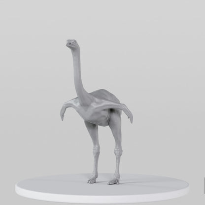 Ostrich