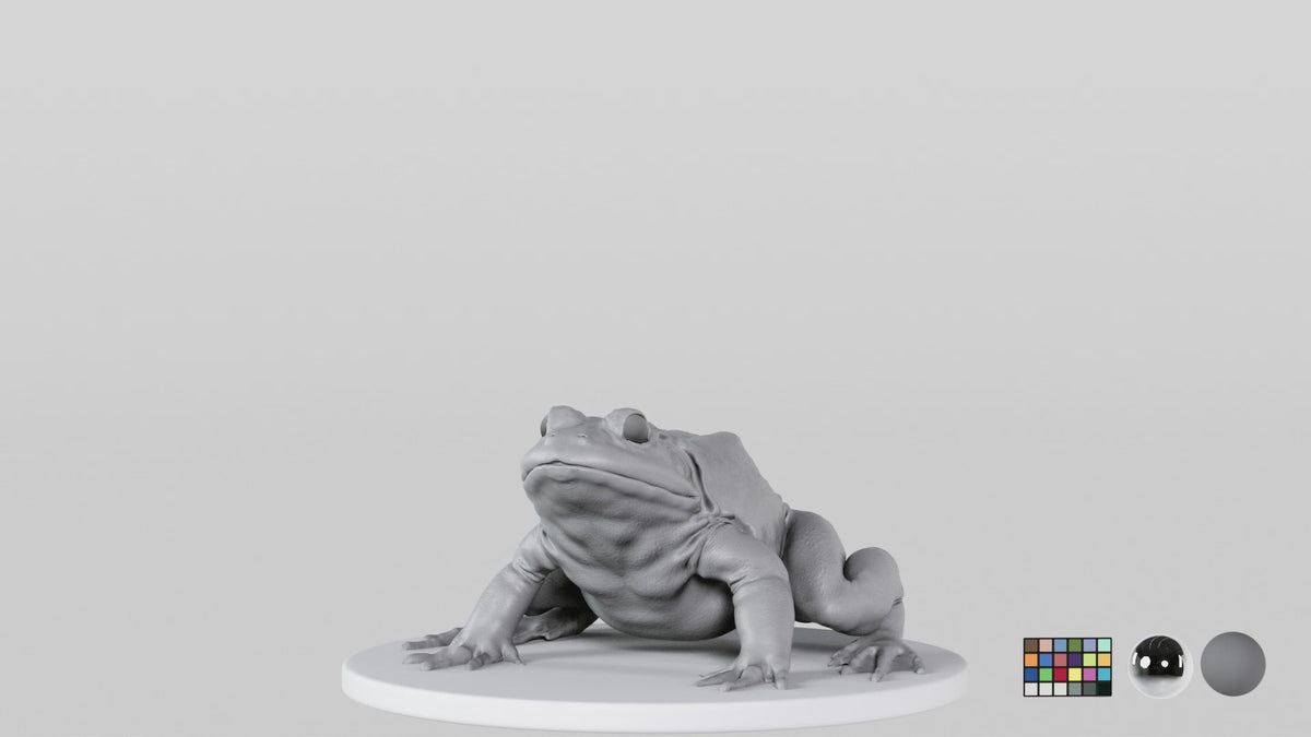Bullfrog