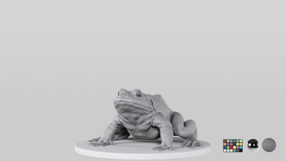 Bullfrog