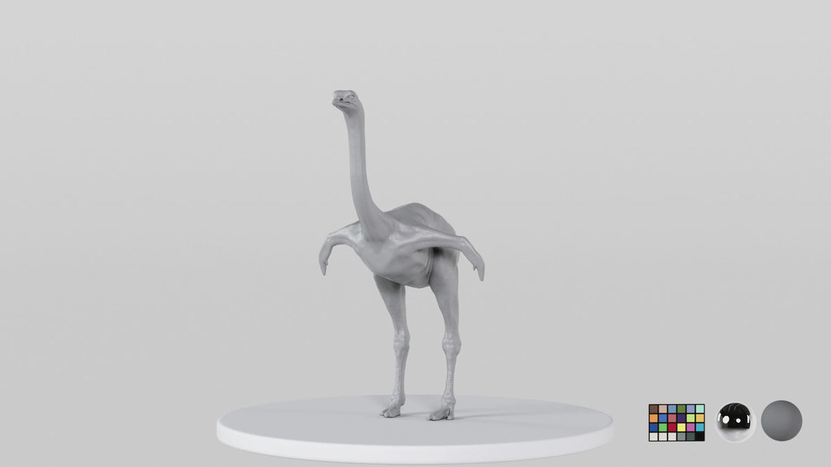 Ostrich