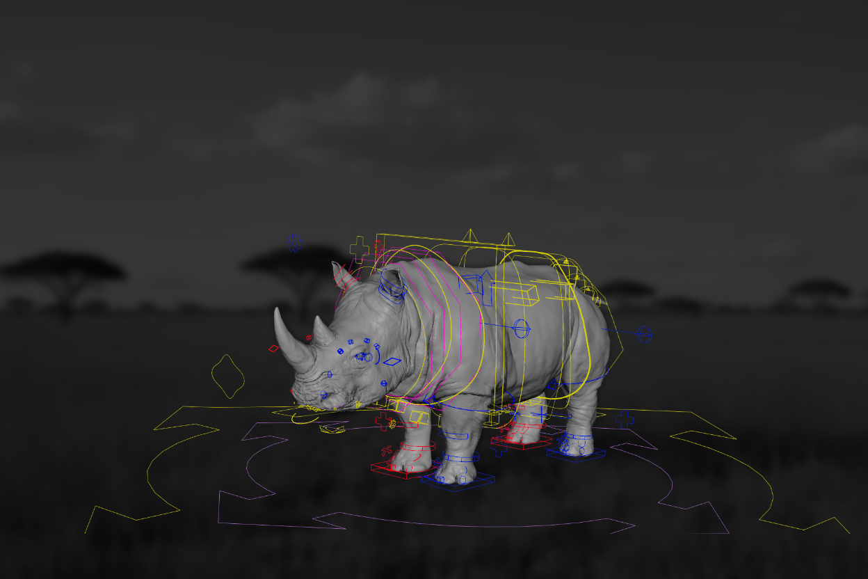 White Rhino