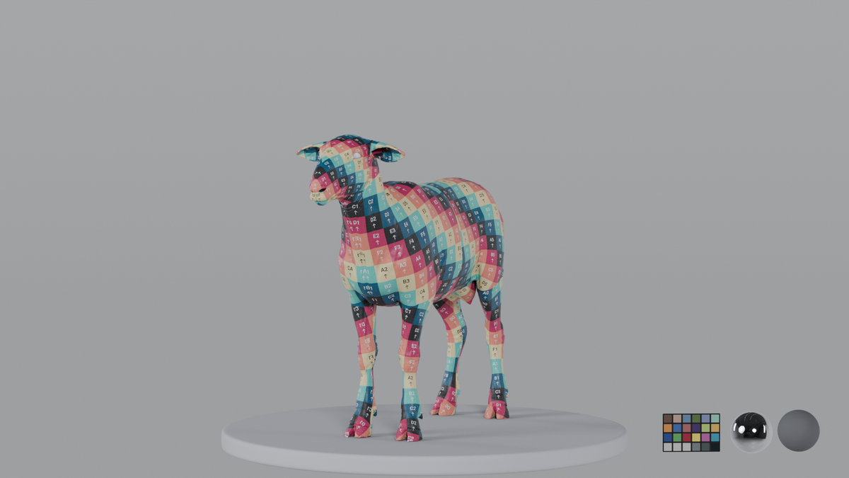 Sheep