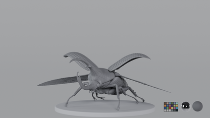 Beetle