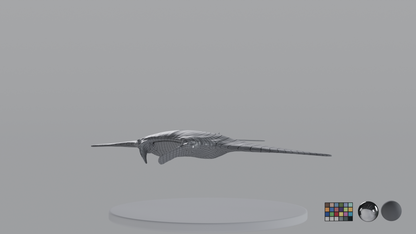 Manta Ray