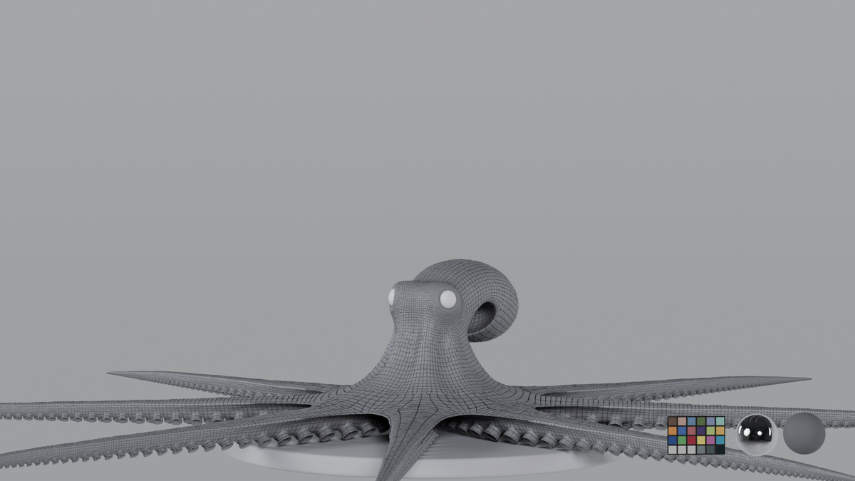 Octopus