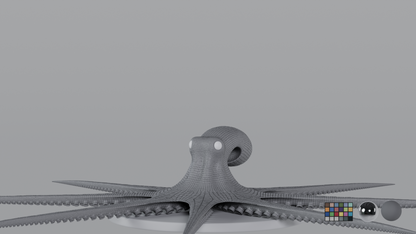Octopus