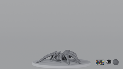 Tarantula