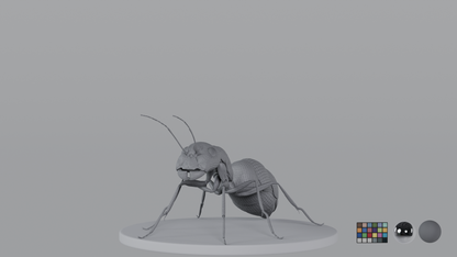 Ant