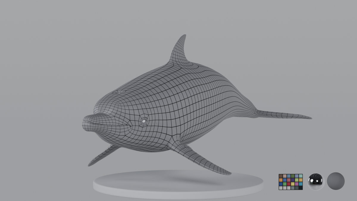 Dolphin