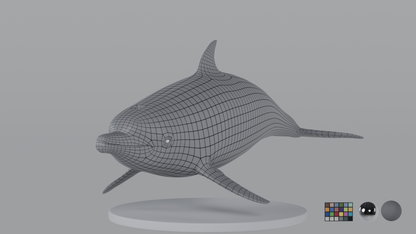 Dolphin