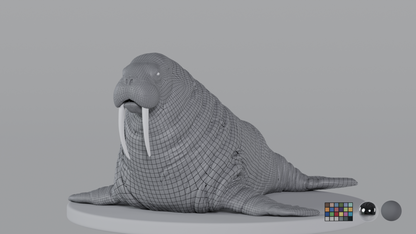 Walrus