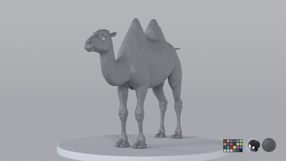 Camel