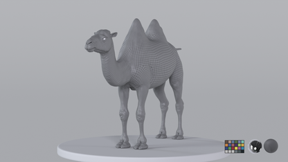Camel