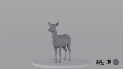 Female Deer
