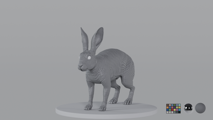 Rabbit