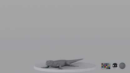 Lizard