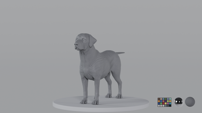 Labrador
