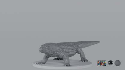 Komodo Dragon