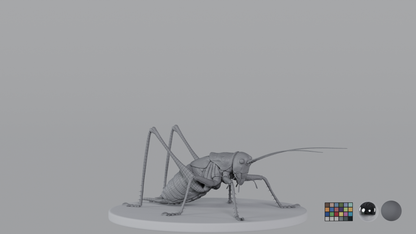 Cricket