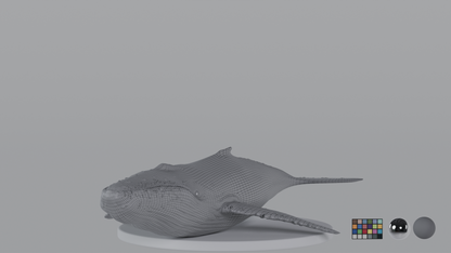 Whale