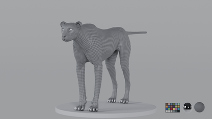 Cheetah
