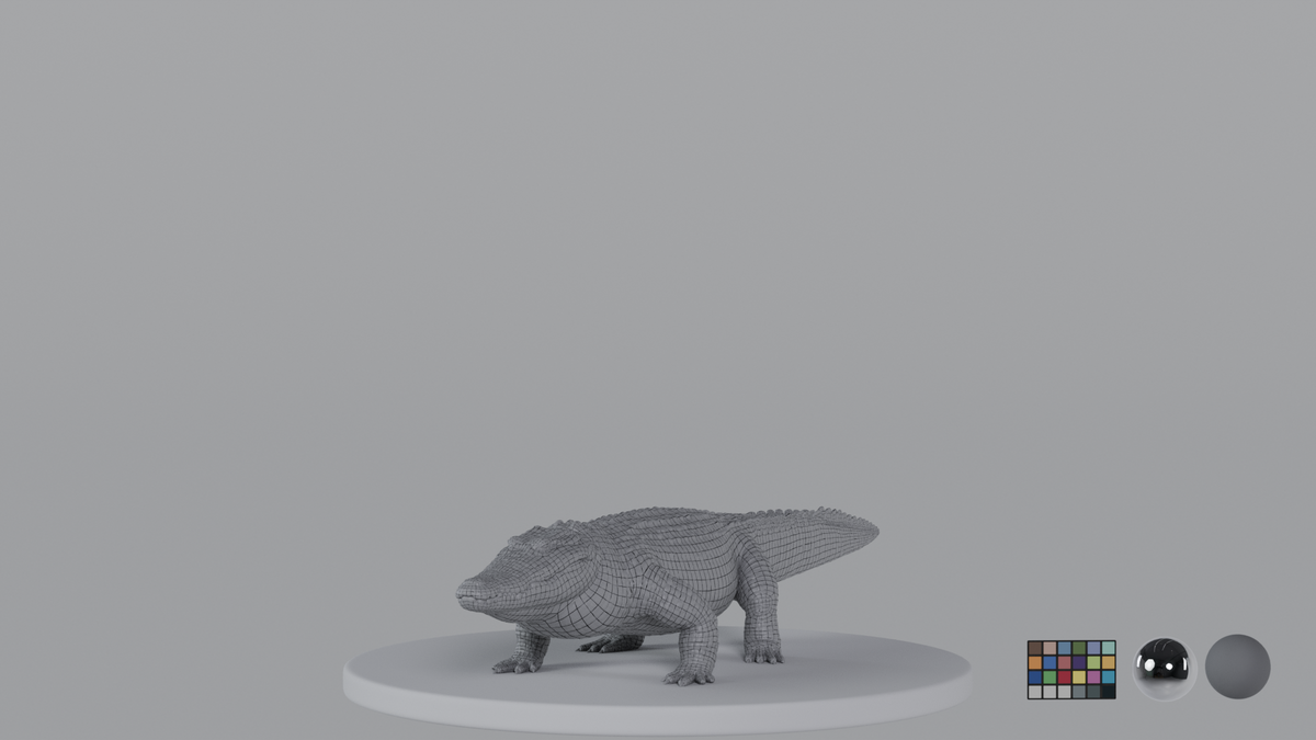 Crocodile