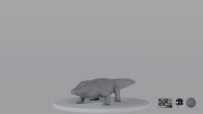 Crocodile