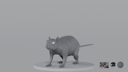 Squirrel