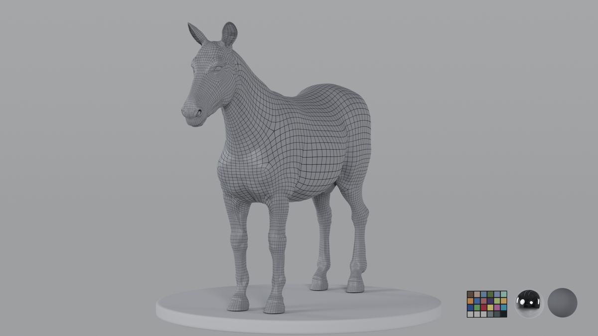 Zebra